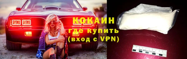 шишки Наволоки
