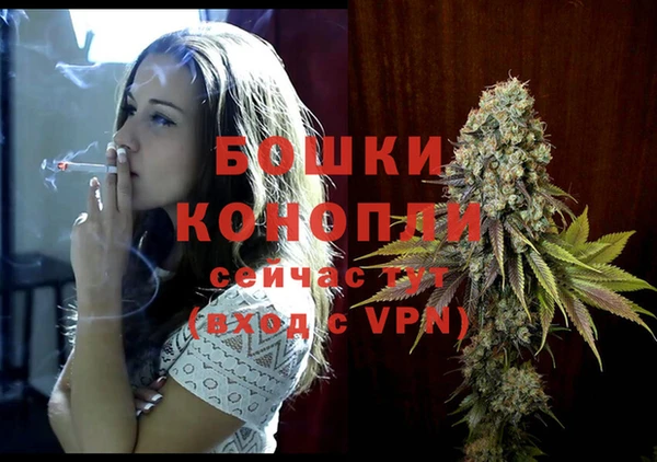ПСИЛОЦИБИНОВЫЕ ГРИБЫ Навашино