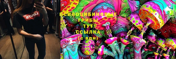 apvp Надым