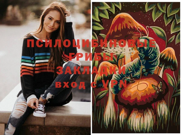 apvp Надым