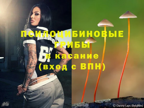 apvp Надым