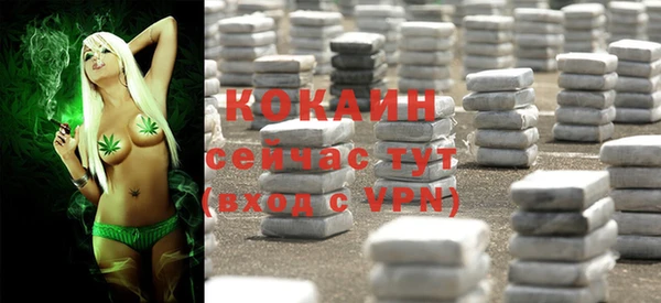 apvp Надым